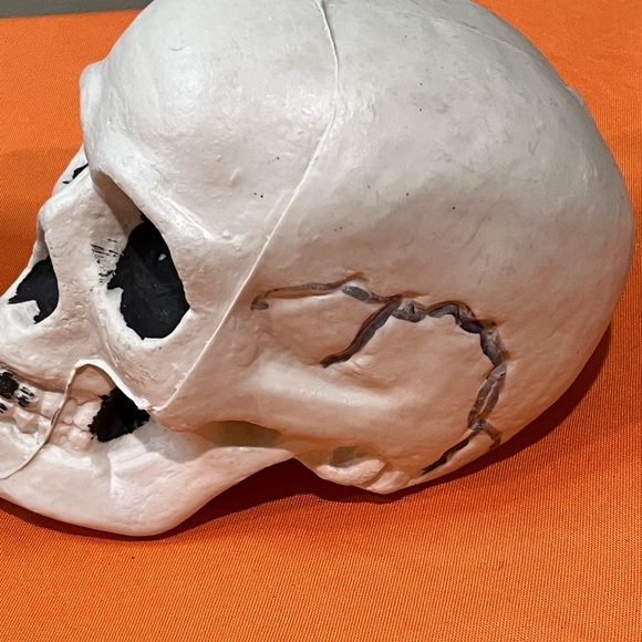 Gray and White Skull Decor Set - Picture 3 of 15